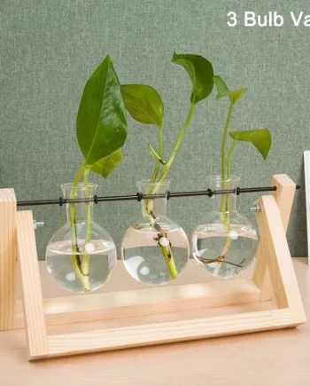 Desktop Plant Terrarium Glass Planter Bulb Vase with Retro Solid Wooden Stand