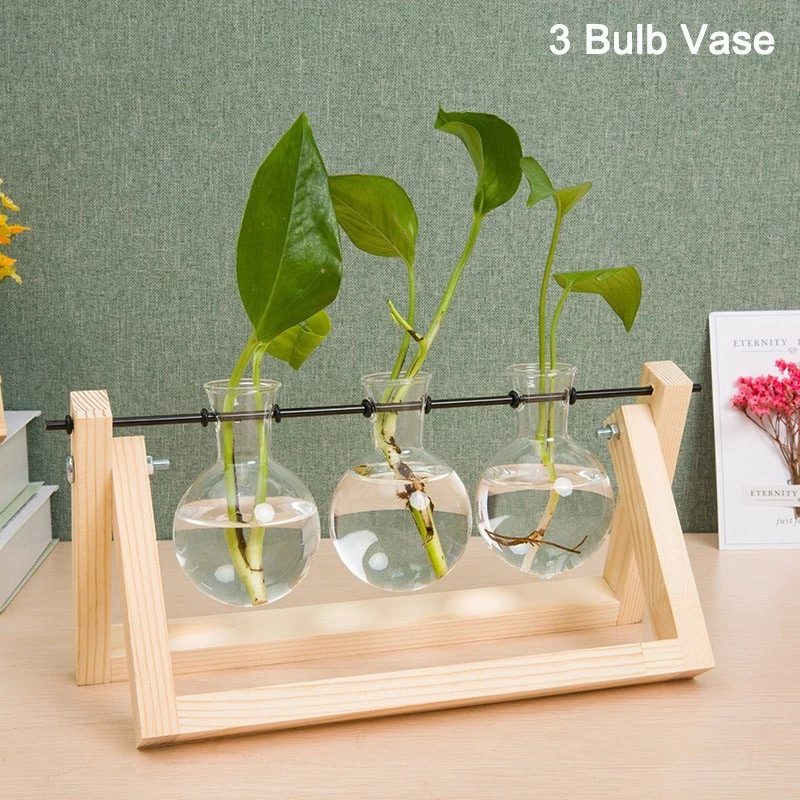 Desktop Plant Terrarium Glass Planter Bulb Vase with Retro Solid Wooden Stand