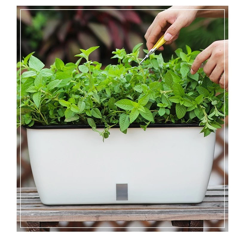 Locaupin Self Watering Planter Flower Pots Multicolor Balcony Garden Plant Planter Baskets Fence Bucket Pots