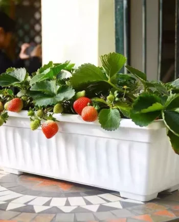 Plastic Planter Box Vegetable Herbs Flowers Thicken Outdoor Indoor Planting Basin Balcony Garden Decor