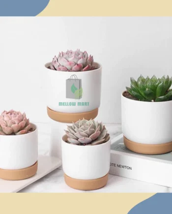 MELLOWMART Nordic Style Self Watering Pot Hydroponic Pot Succulent