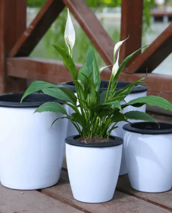 HAPPY LANDSCAPE Lazy Pot Self Watering Pot Hydroponic Pot