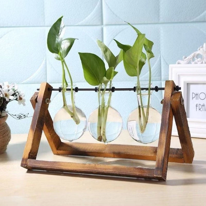 Desktop Plant Terrarium Glass Planter Bulb Vase with Retro Solid Wooden Stand