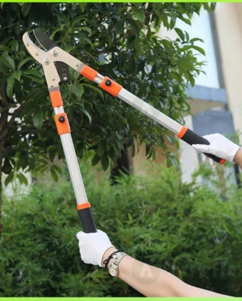Scissor Pruning Shear Anvil Telescopic Tree Branch Cutter Long Handle Gunting Pokok Garden Wood Tool